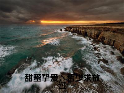 甜蜜挚爱,哲少求放过全文免费阅读无弹窗大结局_(苏哲右苏左左完结)甜蜜挚爱,哲少求放过小说最新章节列表