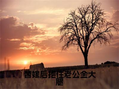 热文姜沫小说全文阅读_替嫁后抱住老公金大腿(姜沫)全文免费阅读最新章节列表