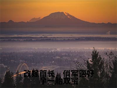 周薇陆彦(改嫁首长,俏军医好孕一胎双宝)全文免费读无弹窗大结局_周薇陆彦免费周薇陆彦读无弹窗最新章节列表_笔趣阁