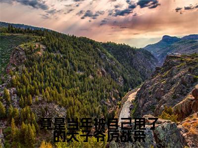 沈鹿柠厉战枭完整版(竟是当年被自己甩了的太子爷厉战枭小说)全文免费阅读无弹窗大结局_竟是当年被自己甩了的太子爷厉战枭最新章节