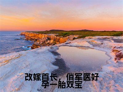 周薇陆彦(改嫁首长,俏军医好孕一胎双宝)完整全文在线阅读_改嫁首长,俏军医好孕一胎双宝小说全章节目录阅读(周薇陆彦)
