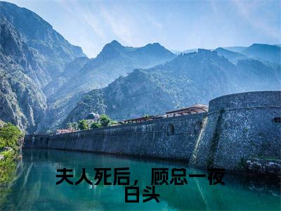沈落顾轻延小说全文(夫人死后,顾总一夜白头)全文免费阅读无弹窗大结局_夫人死后,顾总一夜白头小说免费最新章节列表