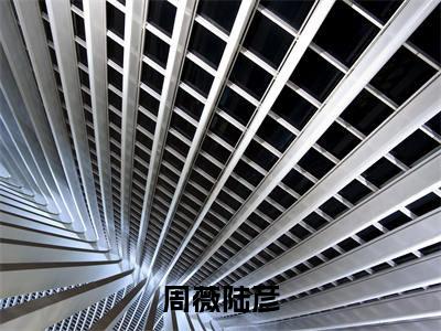 周薇陆彦小说全文免费阅读-(周薇陆彦)周薇陆彦精选小说大结局阅读