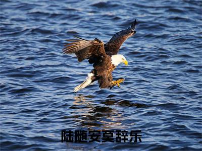 莫辞乐陆随安（陆随安莫辞乐）全文免费阅读无弹窗大结局_（莫辞乐陆随安）陆随安莫辞乐最新章节列表