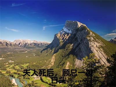 夫人死后,顾总一夜白头(沈落顾轻延)免费全文阅读小说_(夫人死后,顾总一夜白头)沈落顾轻延最新章节列表-笔趣阁