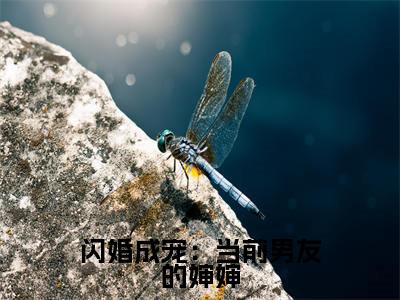 闪婚成宠:当前男友的婶婶(纪淮洲桑云窈)全文免费阅读无弹窗大结局_闪婚成宠:当前男友的婶婶最新章节列表_笔趣阁(纪淮洲桑云窈)