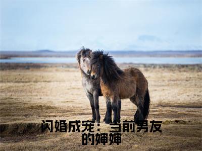 纪淮洲桑云窈闪婚成宠:当前男友的婶婶老书虫推荐小说免费阅读_(纪淮洲桑云窈)完整版全文在线赏析