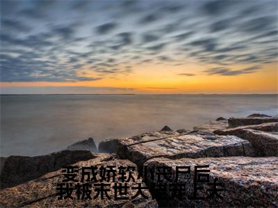 【新书】《沐棠陆焱》变成娇软小丧尸后,我被末世大佬宠上天全文全章节免费阅读