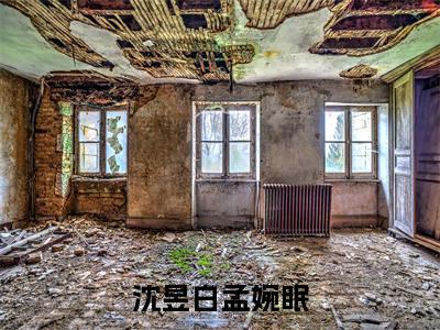 孟婉眠沈昱白(沈昱白孟婉眠)全文免费阅读无弹窗大结局_孟婉眠沈昱白最新章节列表_笔趣阁