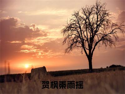 贺枫秦雨摇(秦雨摇贺枫)小说免费下载全本-贺枫秦雨摇(秦雨摇贺枫完整版)免费阅读