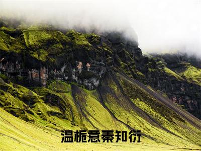 温栀意秦知衍是哪部小说的主角,温栀意秦知衍全文无弹窗完整版阅读