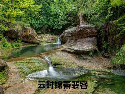 云时锦秦裴容小说精彩章节今日阅读更新-(秦裴容云时锦小说)免费阅读小说全文