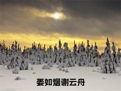 姜如烟谢云舟谢云舟姜如烟完整全文在线阅读谢云舟姜如烟抖音热推小说全集无删减