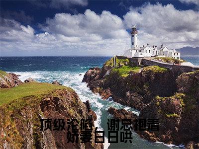 (沈风眠谢郁深)全文免费阅读顶级沦陷,谢总抱着娇妻日日哄言情小说讲的是什么