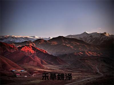 禾草魏泽禾草魏泽全文免费阅读无弹窗大结局_禾草魏泽(禾草魏泽)全文阅读_笔趣阁