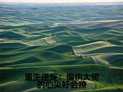 全章节完整《重生逆宠:偏执大佬的心尖好会撩》全文阅读《江时瑾陆晚枝》