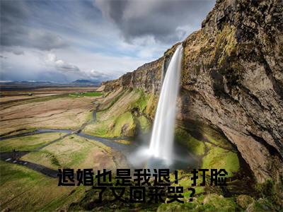 秦朝安快手小说（退婚也是我退！打脸了又回来哭？）txt阅读大结局-抖音近期热门秦朝安全文免费