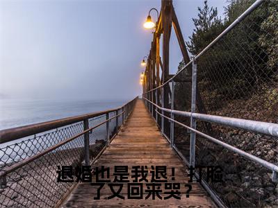 秦朝安是什么小说-(退婚也是我退!打脸了又回来哭?全文阅读)最新章节列表