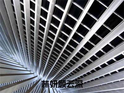 林妍顾云深(林妍顾云深)全文免费阅读无弹窗大结局_林妍顾云深最新章节列表
