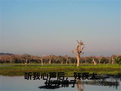 听我心声后,残疾大佬宠麻了(萧墨寒贺夕颜)全文免费阅读无弹窗大结局_听我心声后,残疾大佬宠麻了全文免费阅读最新章节列表