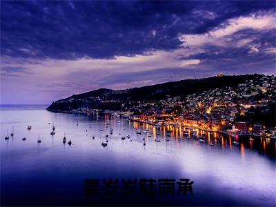 姜岁岁陆南承已完结小说全集阅读(陆南承姜岁岁完整版大结局)姜岁岁陆南承小说全文阅读笔趣阁