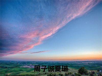 周子诚夏琳（周子诚夏琳）全文免费阅读无弹窗大结局_周子诚夏琳在线阅读（周子诚夏琳）
