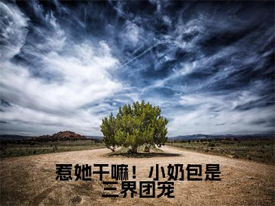 主角是金宝的小说(惹她干嘛!小奶包是三界团宠)-(惹她干嘛!小奶包是三界团宠)金宝全文免费阅读无弹窗大结局笔趣阁