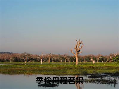 程茗染季伶舟是什么小说-(季伶舟程茗染全文阅读)最新章节列表