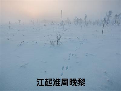 江起淮周晚黎(周晚黎江起淮)老书虫良心推荐小说-江起淮周晚黎(周晚黎江起淮)小说精彩免费试读