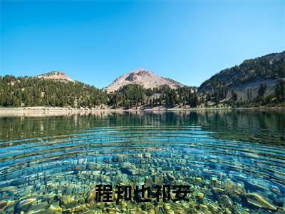 程知也祁安(祁安程知也)全文免费阅读无弹窗大结局_祁安程知也小说最新章节列表