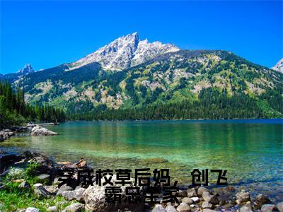 穿成校草后妈,创飞霸总全家最新章节(黎昭)全文免费阅读无弹窗大结局_黎昭穿成校草后妈,创飞霸总全家全文免费阅读