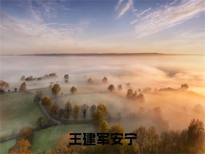 安宁王建军小说(王建军安宁)全文免费阅读无弹窗大结局_安宁王建军小说最新章节列表_笔趣阁