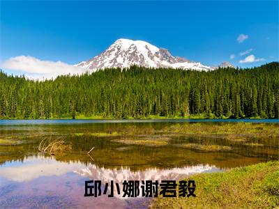 谢君毅邱小娜免费阅读(邱小娜谢君毅)全文免费阅读无弹窗大结局_谢君毅邱小娜免费阅读最新章节列表