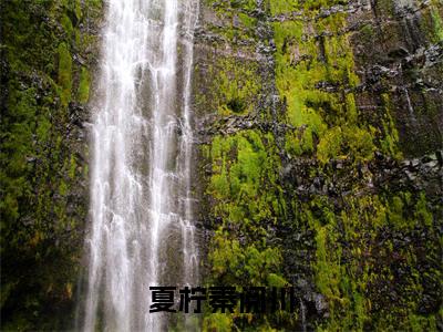 夏柠秦阅川(大结局小说全集完整版)夏柠秦阅川小说_夏柠秦阅川全文阅读笔趣阁
