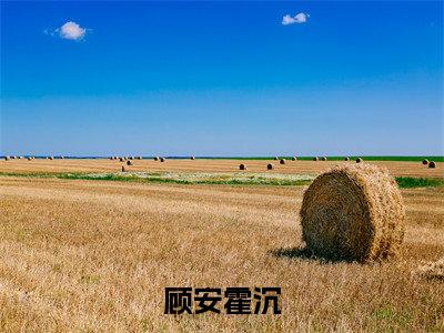 顾安霍沉(霍沉顾安)完结版小说-顾安霍沉小说全文免费阅读笔趣阁
