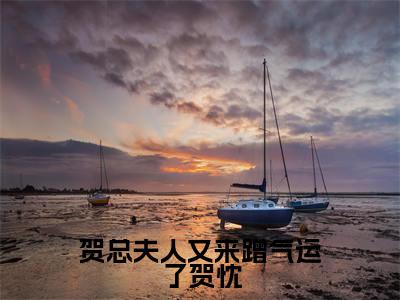 贺总夫人又来蹭气运了贺忱(姜糖贺忱)全文免费阅读无弹窗大结局_(姜糖贺忱)全文阅读_笔趣阁(贺总夫人又来蹭气运了贺忱)