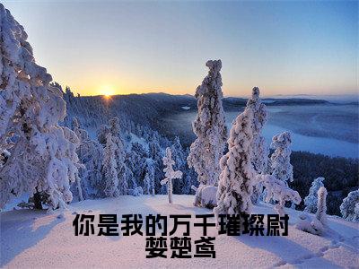 你是我的万千璀璨尉婪楚鸢(尉婪楚鸢)全文免费阅读无弹窗大结局_你是我的万千璀璨尉婪楚鸢小说免费最新章节列表_笔趣阁