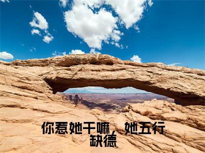 你惹她干嘛,她五行缺德小说(何沅)全文免费阅读无弹窗大结局_(何沅)最新章节列表(何沅)