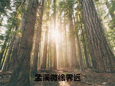 主角徐霁远孟溪微小说孟溪微徐霁远小说全文免费阅读（免费）+（番外）