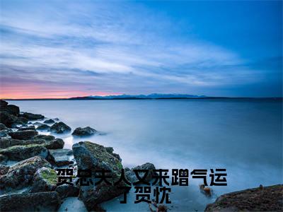 姜糖贺忱全文免费(贺总夫人又来蹭气运了贺忱)全文免费阅读无弹窗大结局_(姜糖贺忱全文免费)