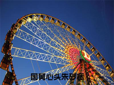 国舅心头朱砂痣小说全文-宋思弦沈云州无弹窗免费阅读