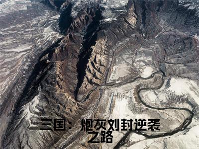 三国：炮灰刘封逆袭之路（刘封）全文小说-三国：炮灰刘封逆袭之路小说最新章节免费阅读（免费）+（全文）