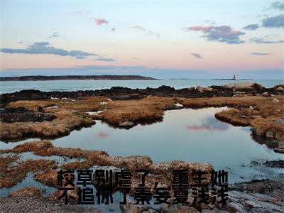 秦妄夏浅浅小说全文免费阅读无弹窗-校草别虐了,重生她不追你了秦妄夏浅浅全章节阅读
