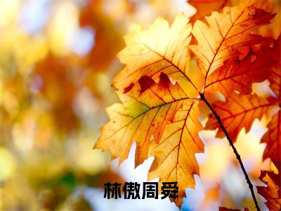 林傲周舜（周舜林傲）免费阅读无弹窗大结局_林傲周舜小说（周舜林傲）免费阅读最新章节列表
