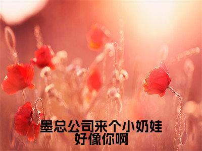 墨总公司来个小奶娃好像你啊(慕初夏宫辰逸)免费全文阅读小说_慕初夏宫辰逸最新章节列表-笔趣阁(墨总公司来个小奶娃好像你啊)