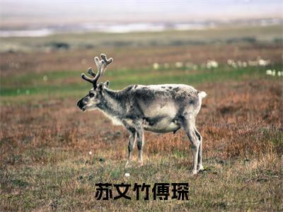 苏文竹傅琛(苏文竹傅琛)全文免费苏文竹傅琛读无弹窗大结局_苏文竹傅琛免费苏文竹傅琛读全文最新章节列表_笔趣阁