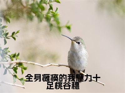 (免费)+(结局)全身瘫痪的我魅力十足桃谷穗美文欣赏完整版,李知云桃谷穗精彩章节在线阅读