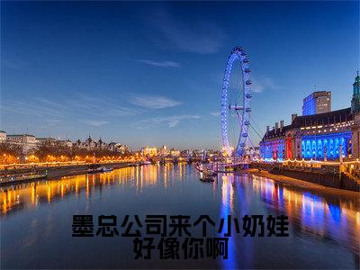 墨总公司来个小奶娃好像你啊小说(慕初夏宫辰逸)免费阅读全文无弹窗大结局_慕初夏宫辰逸免费阅读无弹窗小说_小说笔趣阁