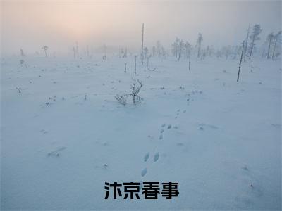 汴京春事在线阅读(余晚之沈砚)全文免费阅读无弹窗大结局_余晚之沈砚免费最新章节列表