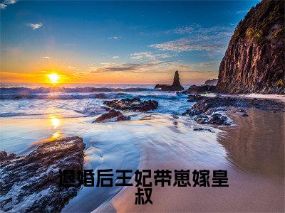退婚后王妃带崽嫁皇叔林云汐全文免费阅读无弹窗大结局_林云汐（退婚后王妃带崽嫁皇叔）全文阅读_笔趣阁